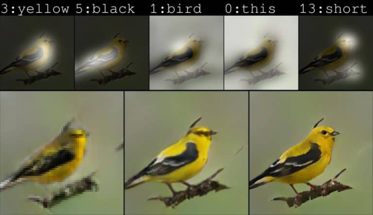 Nieuwe AI van Microsoft maakt van korte omschrijving een vogel