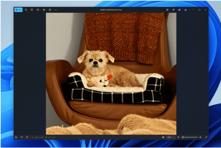 Foto-app in Windows 11-preview op de schop genomen