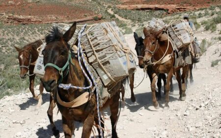 MuleSoft versterkt event-driven support met AsyncAPI