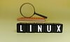 Linux 6.19 loopt vertraging op voor definitieve release